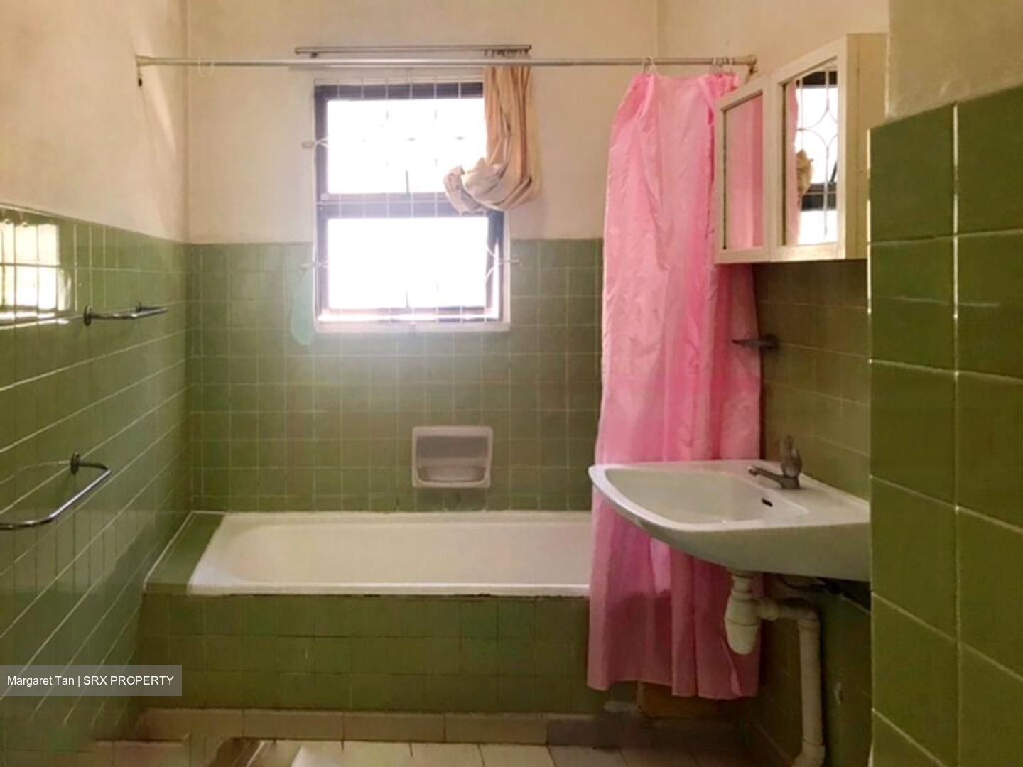 Clementi Park (D21), Detached #582423011